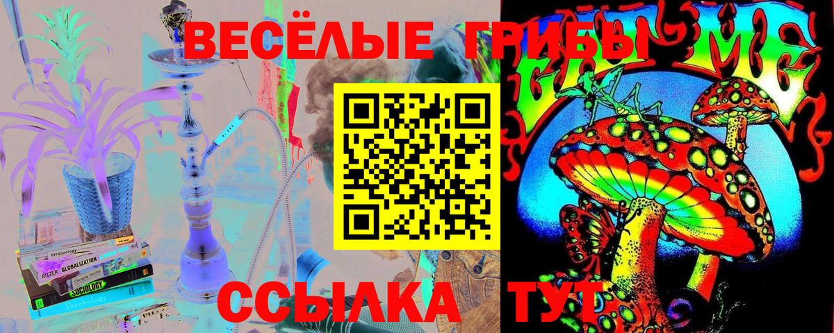 Псилоцибиновые грибы GOLDEN TEACHER Глазов