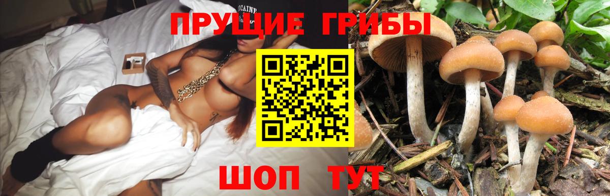 Галлюциногенные грибы MAGIC MUSHROOMS  Вход с VPN  Глазов 